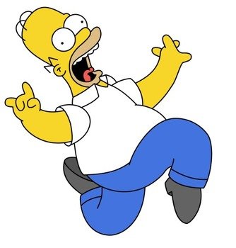 Homer Simpson N15