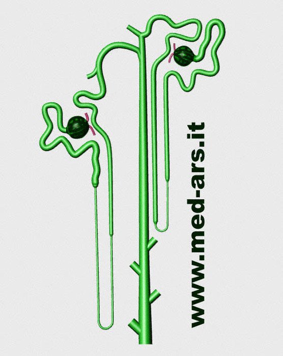 Free Clip Art Downloads N37