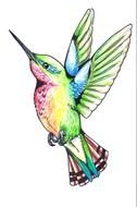 colorful Hummingbird, Tattoo design