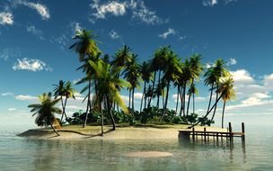 island with green palm trees