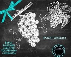 Free Chalkboard Flourishes Clip Art N4