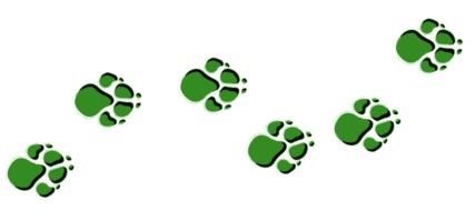 Cub Paw Print drawing