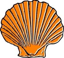 Cartoon Sea Shell Clip Art N14