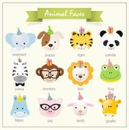 Baby Jungle Animals