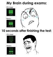 Exam Memes