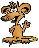 Cartoon river rat clipart