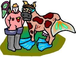 Cow adn man Clip Art drawing