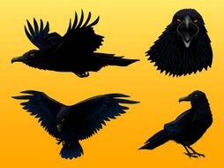 black silhouettes of birds on a yellow background