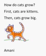 First Grade Writing