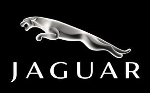 Jaguar Logo cat drawing