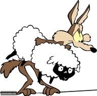 Road Runner Cartoon N6