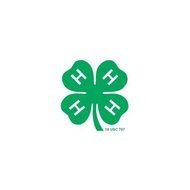 4 H Clover Border