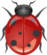 Ladybug Clip Art N47