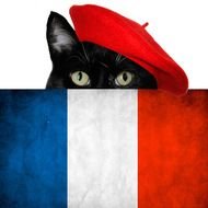 Bon Jour Everyone Katie Here