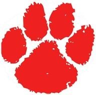 Wildcat Paw Print Tracks