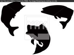 Largemouth Bass Jumping Silhouette