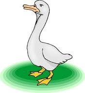 Cartoon Duck drawing