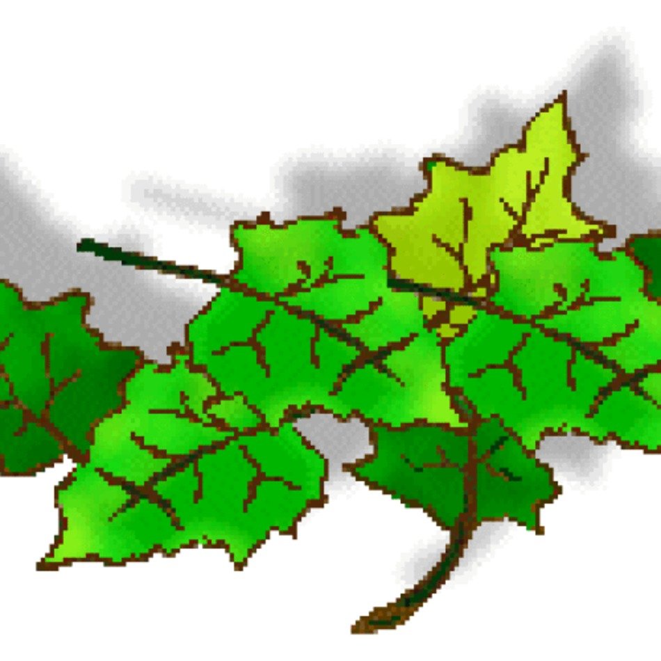 Leaf Clip Art N45