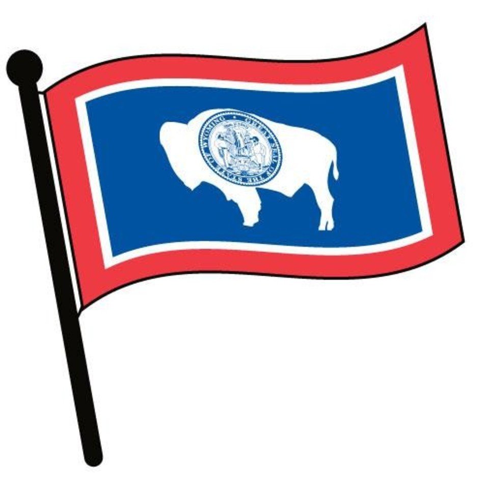 Waving Flag Clip Art N19