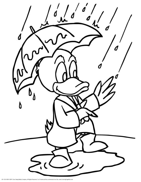 picture of a duck under an umbrella for coloring