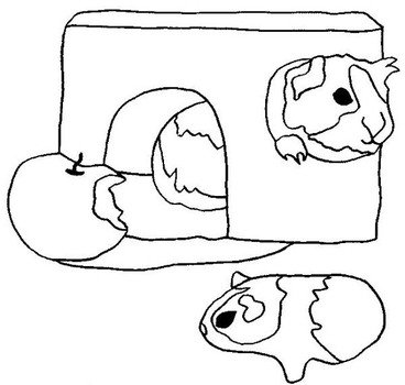 Guinea Pig Coloring Pages