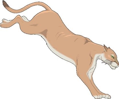 Mountain Lion Clip Art N4