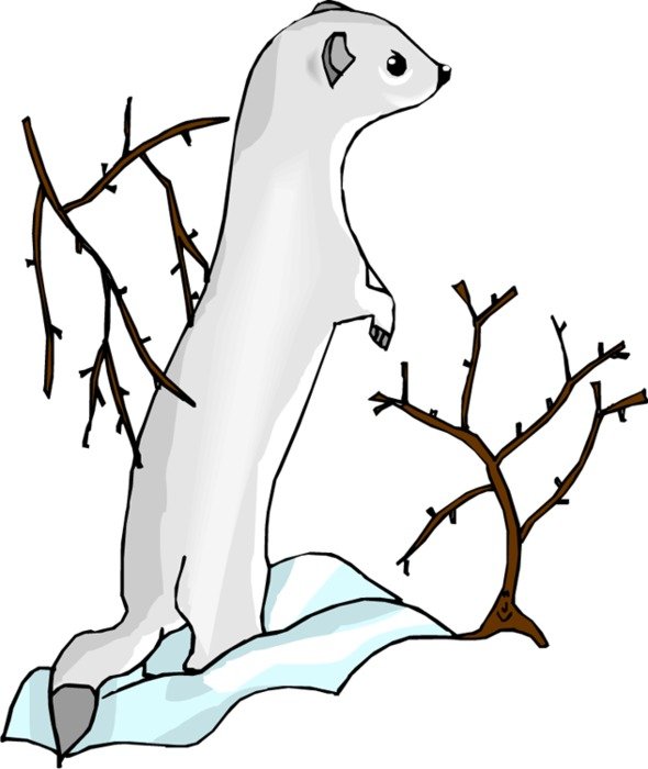 Otter Clip Art Black And White N3