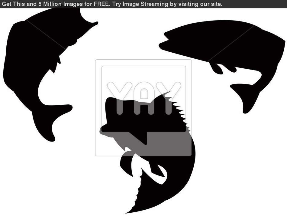 Largemouth Bass Jumping Silhouette
