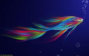 Real Rainbow Fish drawing