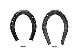 two Horseshoe drawing