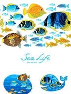 Material De Los Peces Marinos Dibujos Animados Vectores