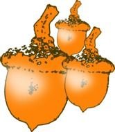 Nut Clip Art Free N9