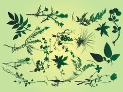 Free Vector Art Plants drawing
