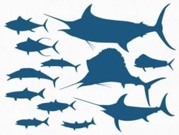 blue Fish Silhouette drawing