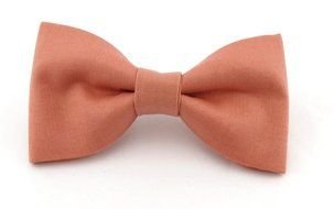 Bow Tie as a picture