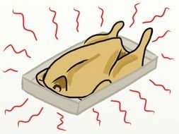 drawn hot chicken in the counter