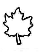 Ä°llustration of Fall Leaf Template