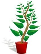 Green cartoon plant clipart