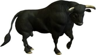 drawn black bull with sharp horns