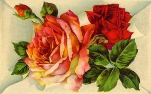 Vintage Red Rose Clip Art drawing