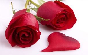 Clipart of red roses