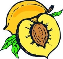 Peach Cartoon Clip Art N8