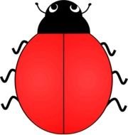 Ladybug With No Spots Clip Art N2