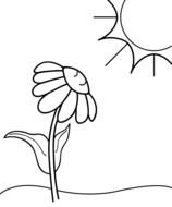 Spring Flower looking at sun, Black And White drawing