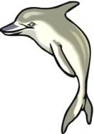 dolphin as a picture for clipart