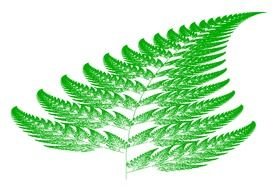 Menggambar Fraktal Fern drawing