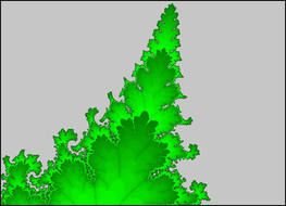 Green bright trees clipart