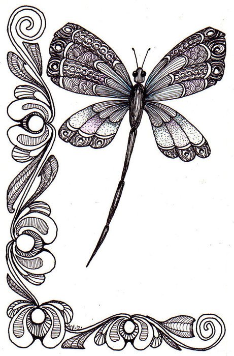black and white pattern and butterfly