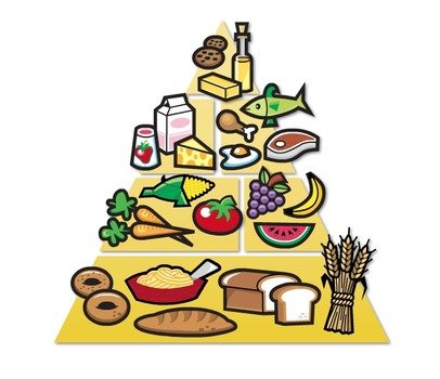 Food Pyramid N6