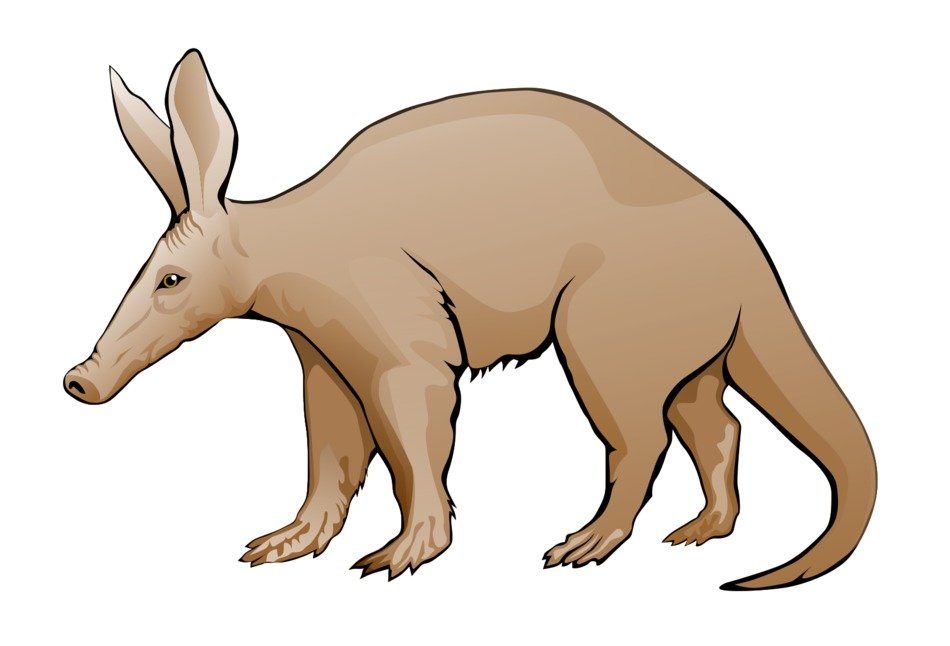 Aardvark Clip Art